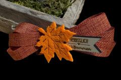 image00007 image00007