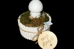 image00019 image00019