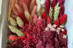 image00028 image00028