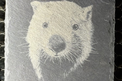 image00031 image00031