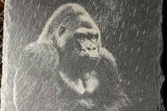 image00035